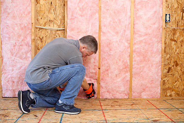 Best Types of Insulation in Dalworthington Gardens, TX